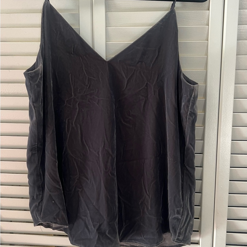 NWT Express velvet sleeveless top.